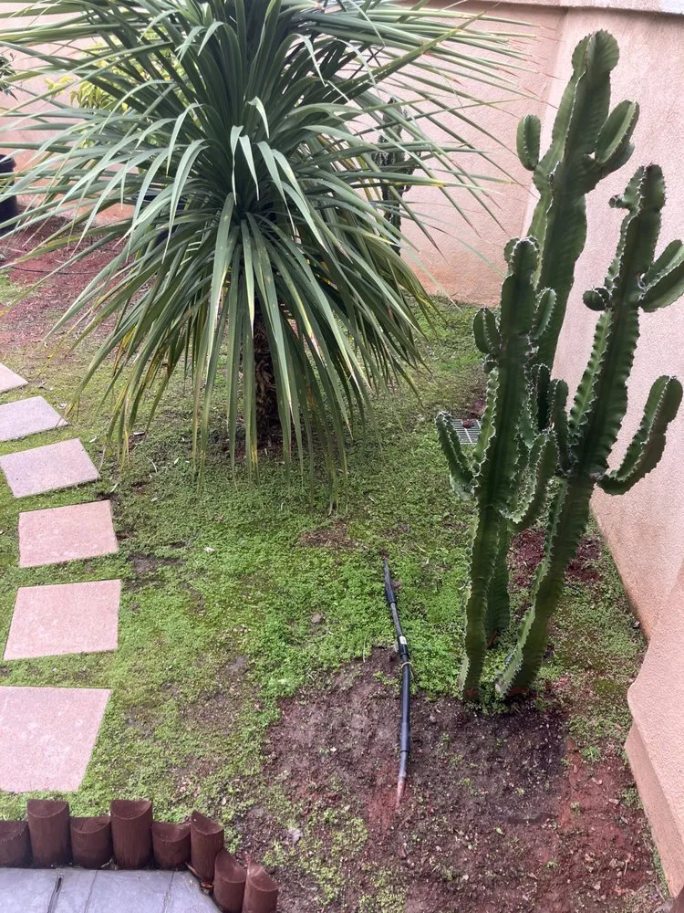 Top-rated landscaping services for outdoor upgrades in San Juan Capistrano, CA by Ranchwood Landscapes