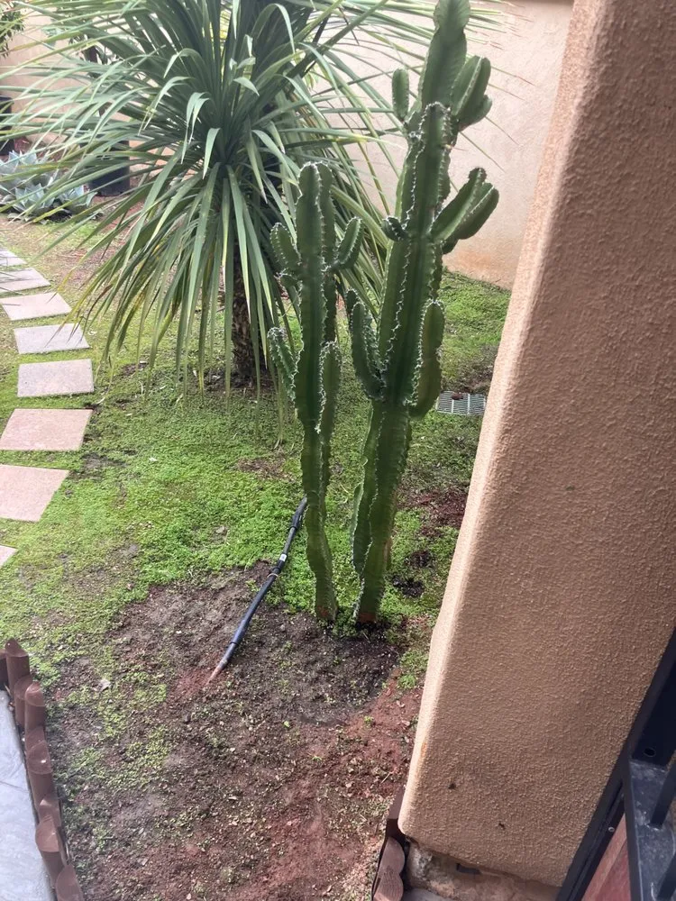 Expert landscaping services in San Juan Capistrano, CA by Ranchwood Landscapes