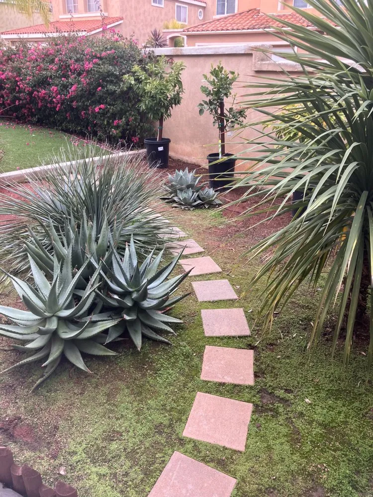 Affordable residential landscaping near you across San Juan Capistrano, CA - Ranchwood Landscapes