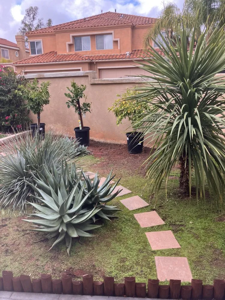 Top-rated landscape design in San Juan Capistrano, CA by Ranchwood Landscapes