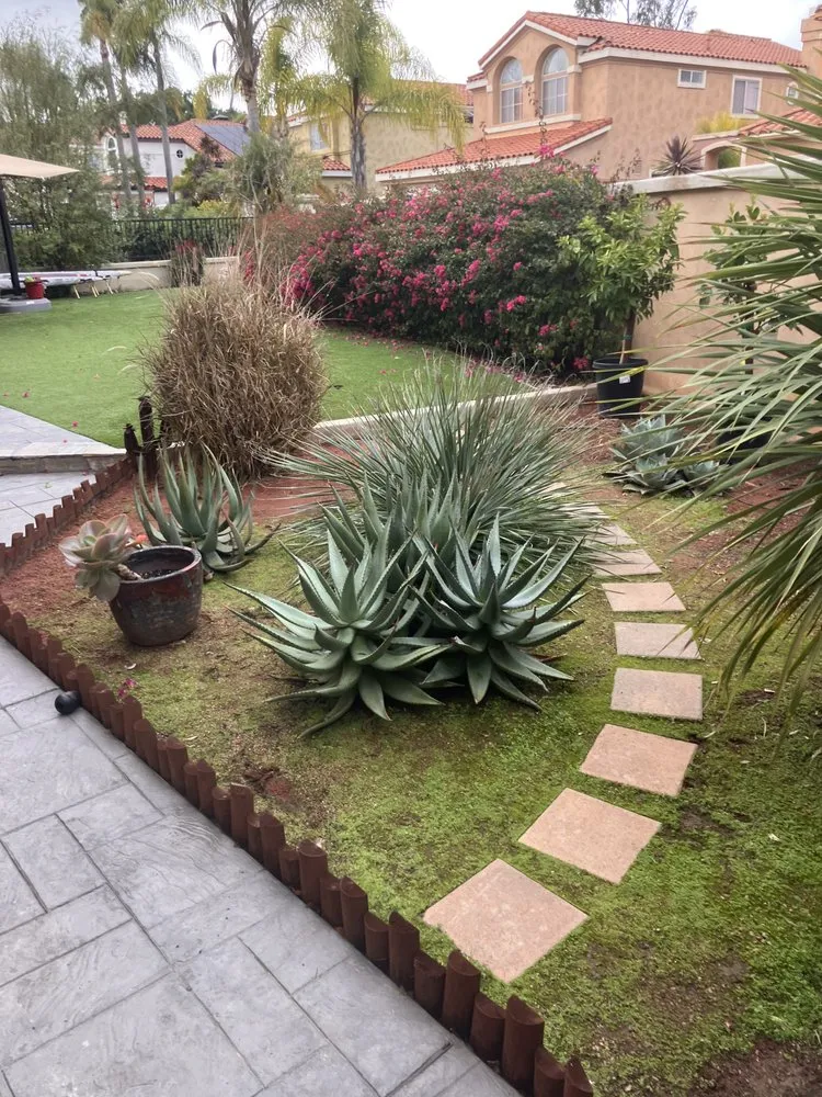 Custom yard cleanup service in San Juan Capistrano, CA by Ranchwood Landscapes