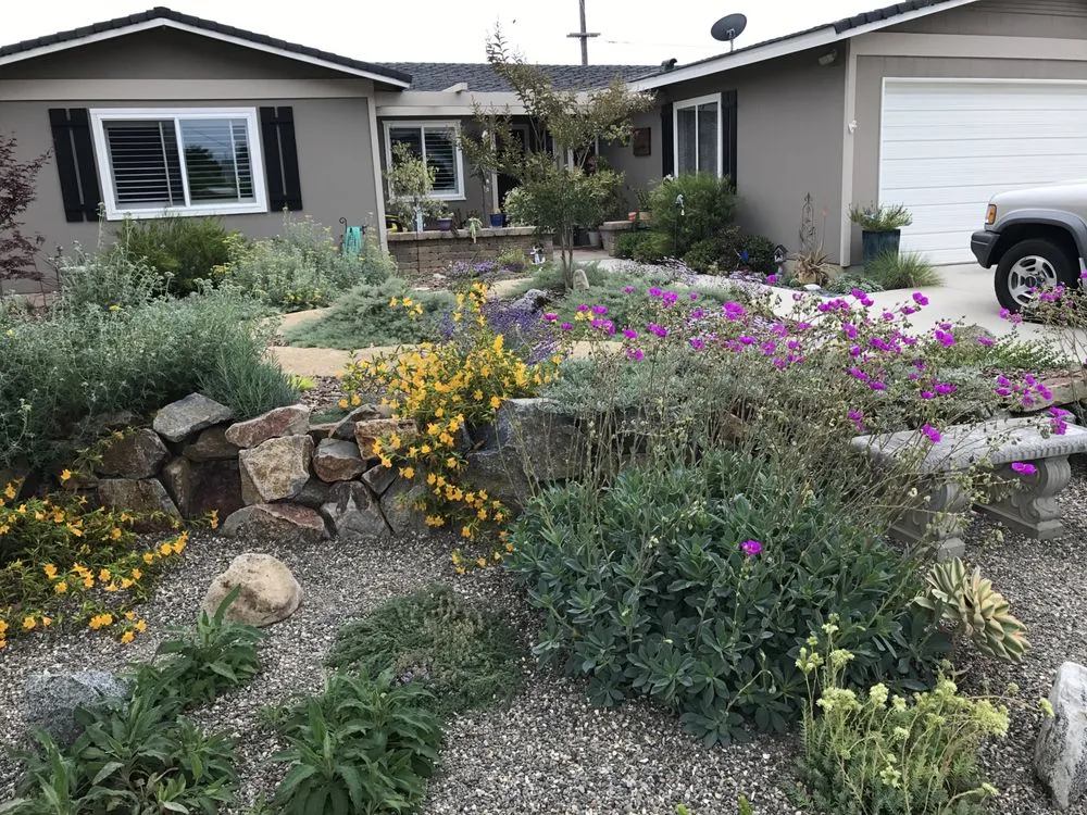 Reliable landscaping services experts serving Ventura, CA - Randall Moore Landscapes