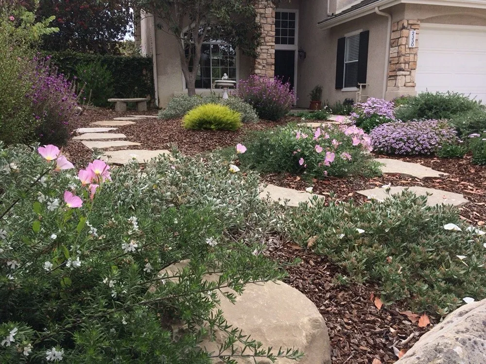 Expert outdoor landscaping in Ventura, CA by Randall Moore Landscapes