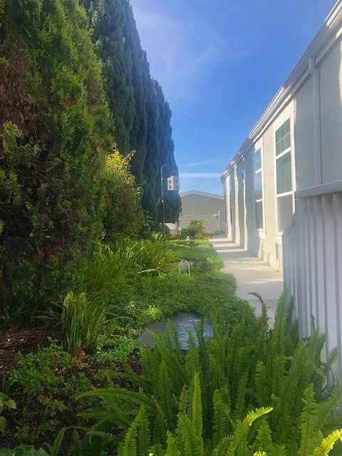 Affordable garden landscaping for beautiful yards across Ventura, CA - Randall Moore Landscapes