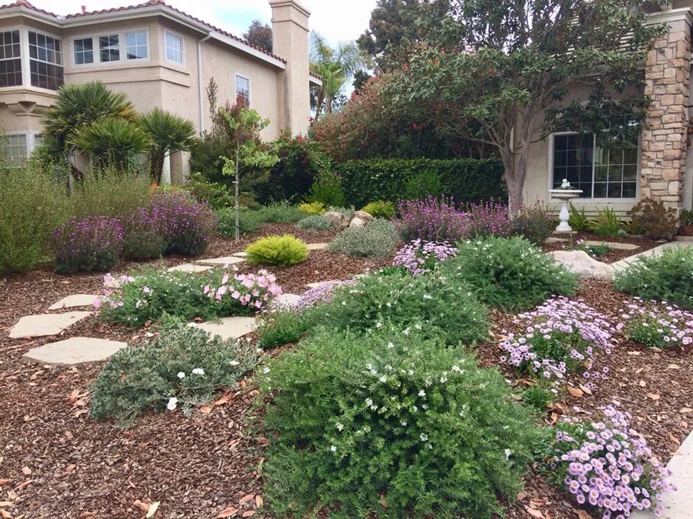 Professional yard maintenance in Ventura, CA by Randall Moore Landscapes