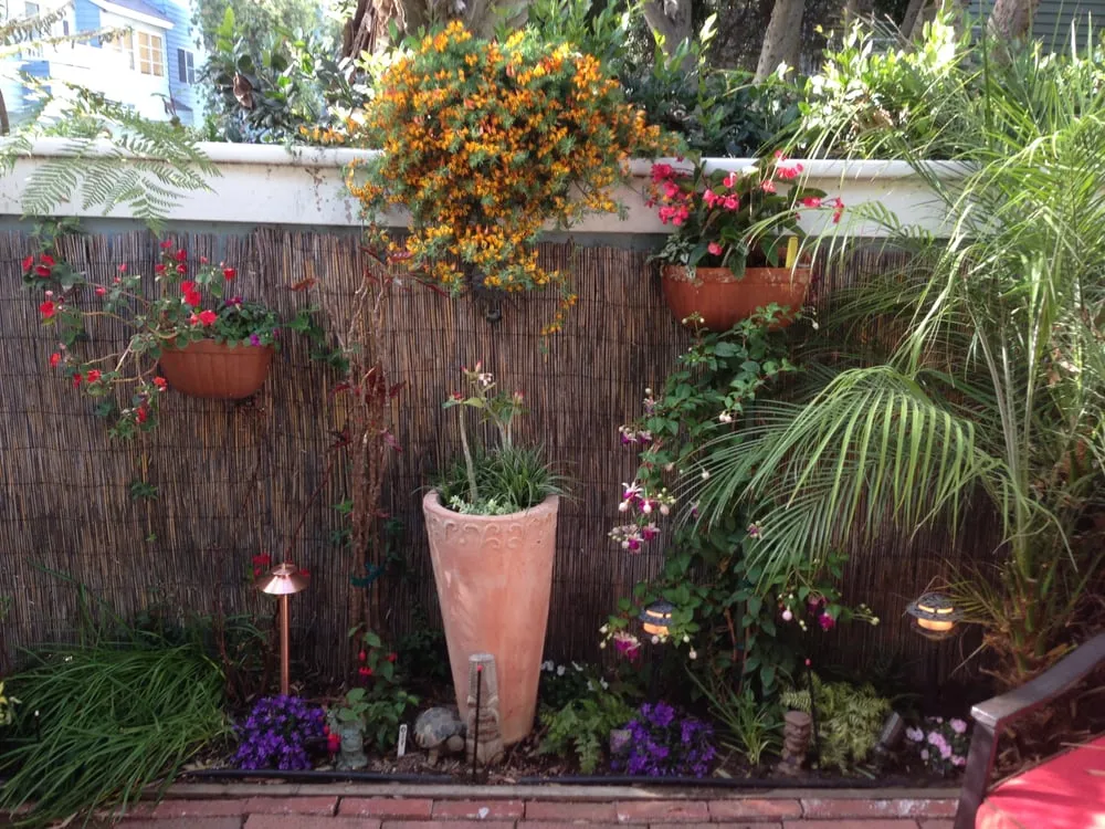 Local landscaping services in Ventura, CA - Randall Moore Landscapes