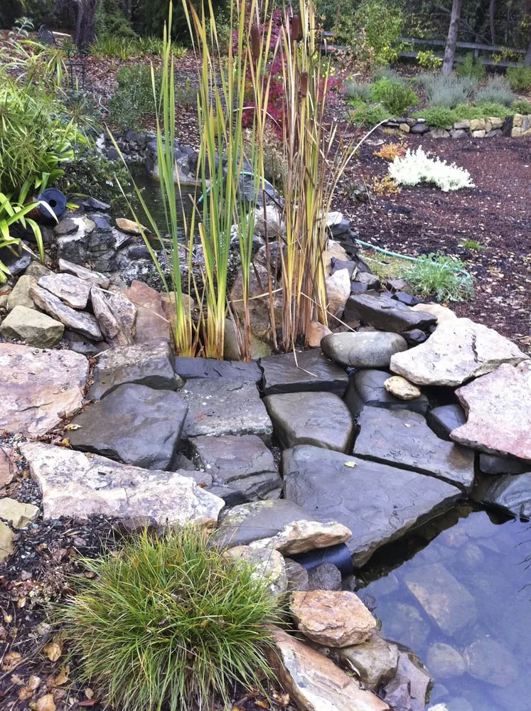 Reliable residential landscaping experts serving Ventura, CA - Randall Moore Landscapes