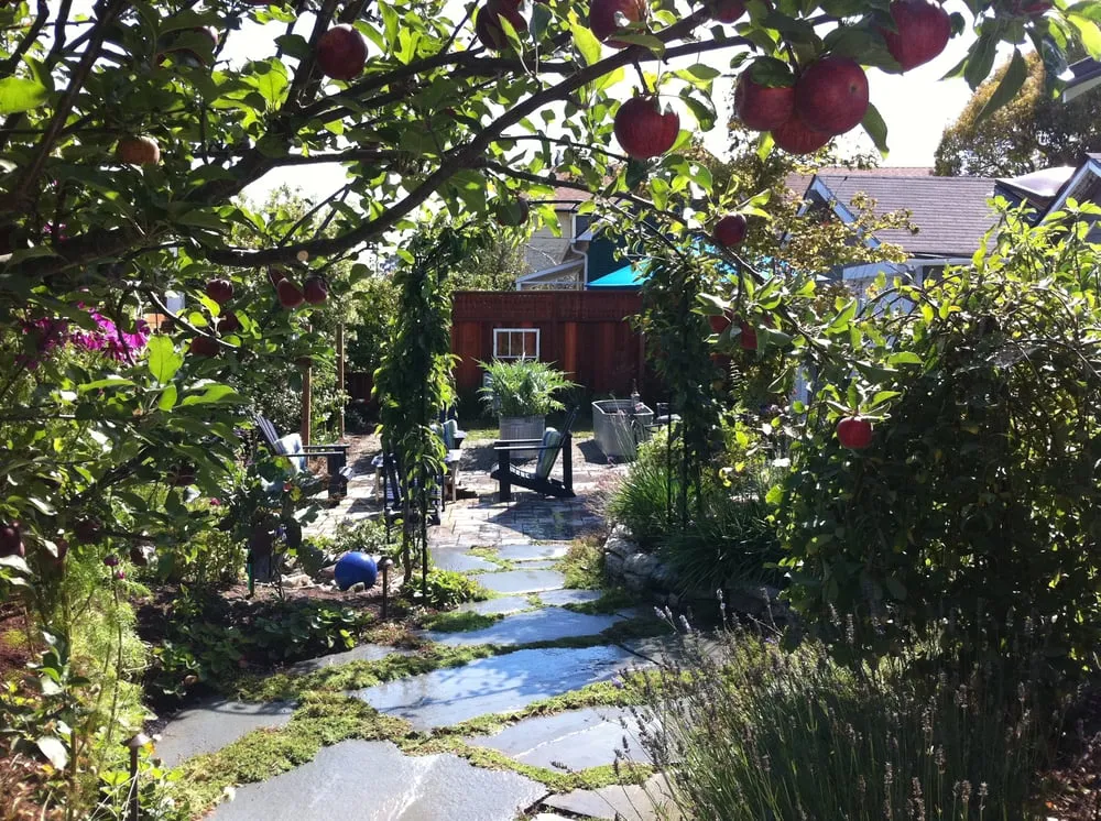 Expert yard cleanup service with custom design across Ventura, CA - Randall Moore Landscapes