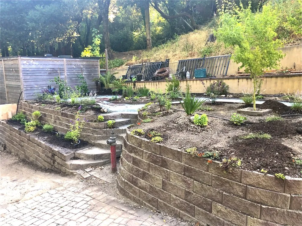 Expert yard maintenance in Santa Cruz, CA - Randall Ray Designs