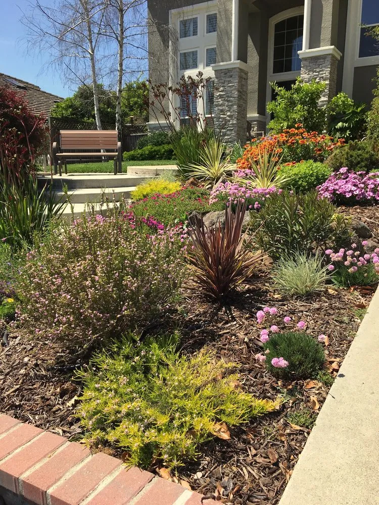 Professional residential landscaping in Santa Cruz, CA by Randall Ray Designs