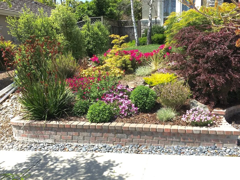 Affordable landscape design for year-round maintenance in Santa Cruz, CA by Randall Ray Designs