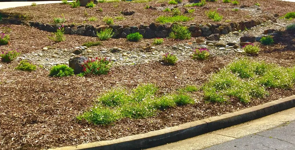 Expert landscape installation in Santa Cruz, CA - Randall Ray Designs