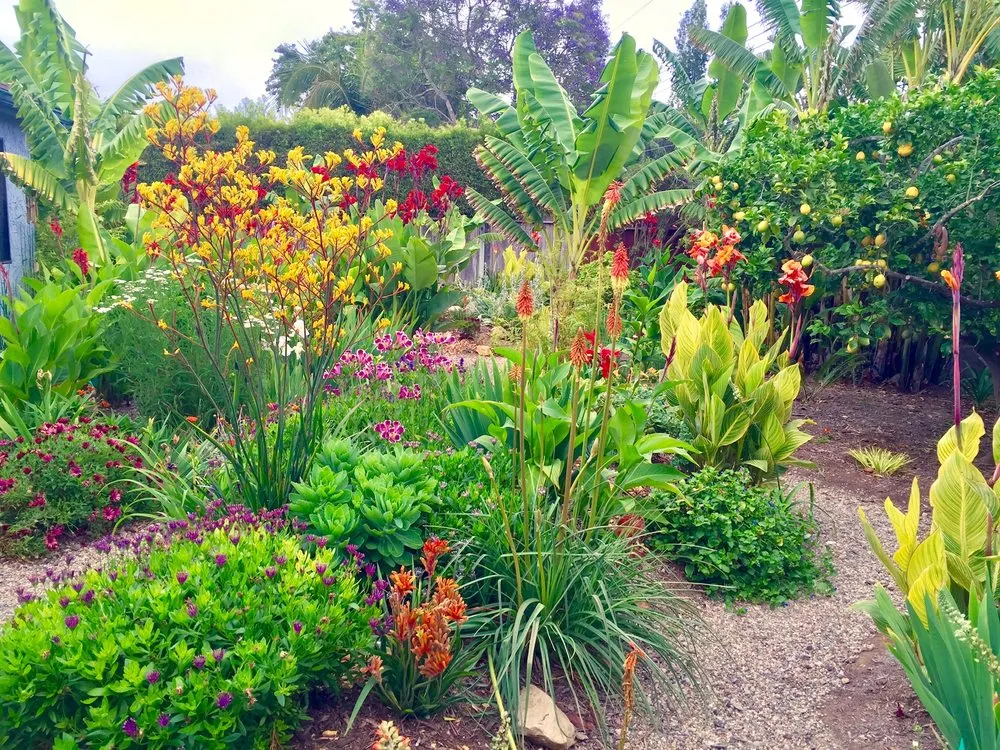Custom landscape installation for homes in Santa Cruz, CA by Randall Ray Designs