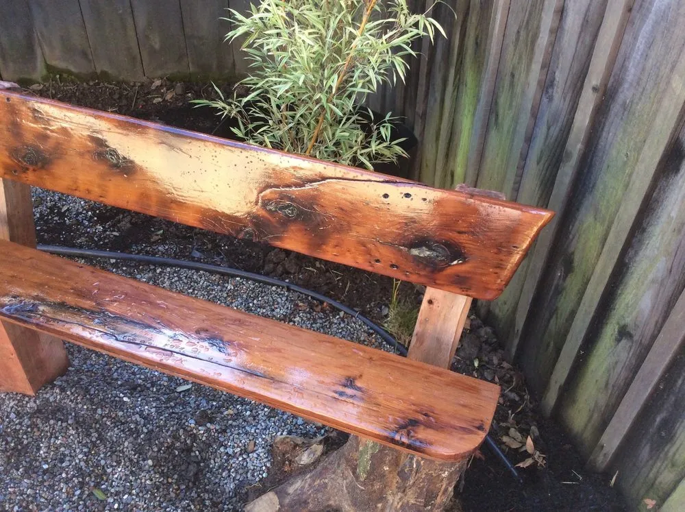 Local yard cleanup service experts serving Santa Cruz, CA - Randall Ray Designs