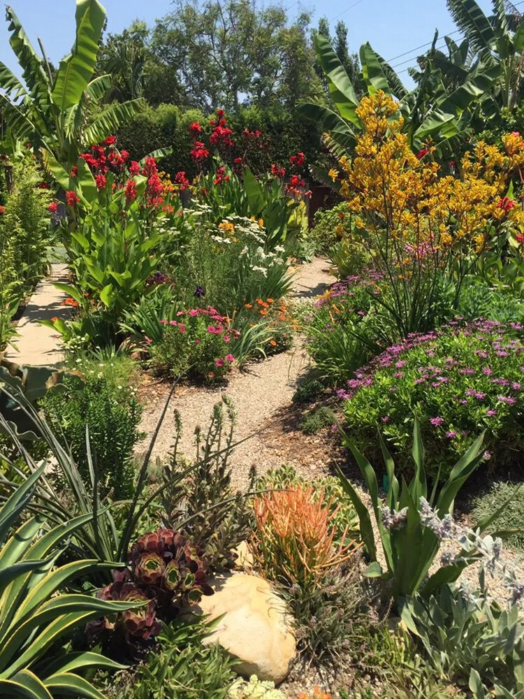 Custom lawn care service for beautiful yards across Santa Cruz, CA - Randall Ray Designs