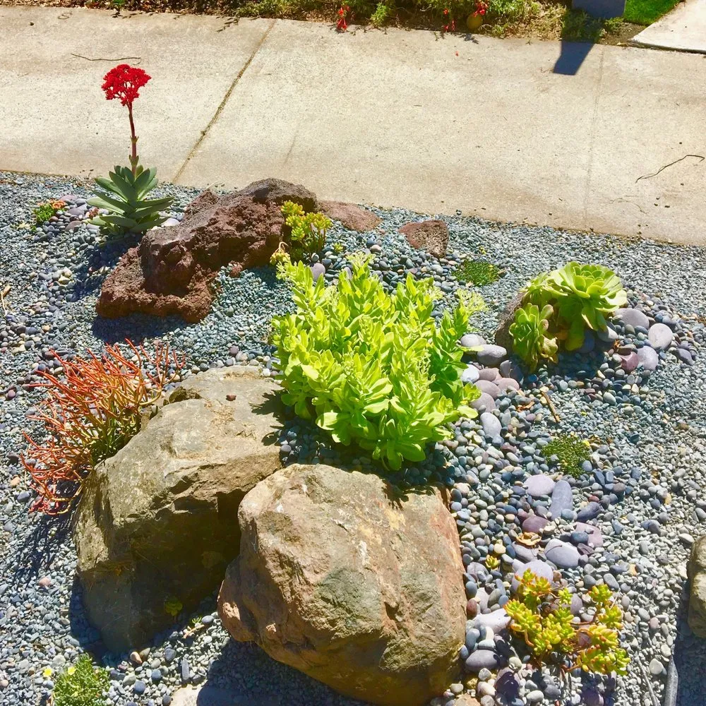 Expert garden landscaping in Santa Cruz, CA by Randall Ray Designs