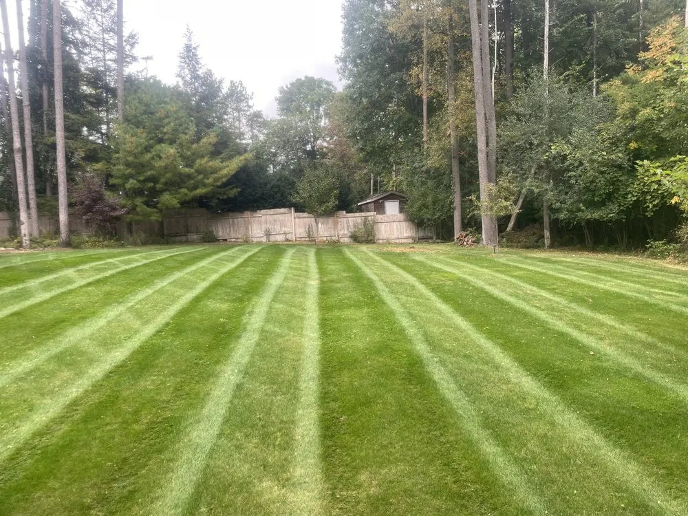 Reliable yard maintenance in Jackson, MI by Randall’s Lawn Care & Snow Removal