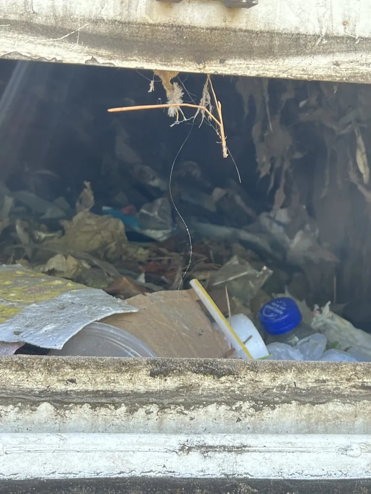 Trusted outdoor landscaping experts serving Siler City, NC - Randall’s Lawncare and More