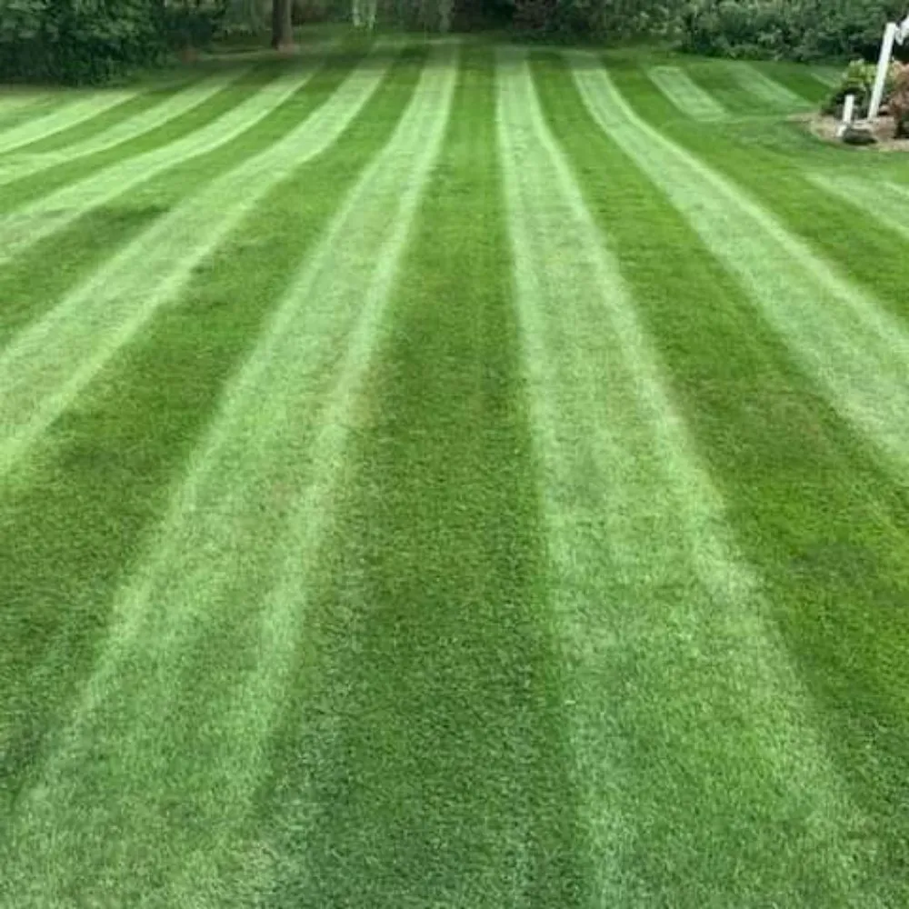 Trusted garden landscaping in Marshville, NC by Randall's Lawncare