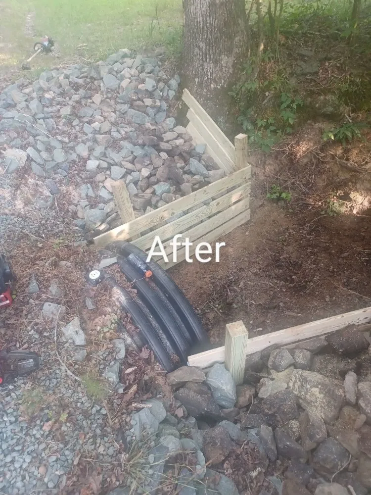 Reliable lawn care service for beautiful yards across Siler City, NC - Randall's Lawncare