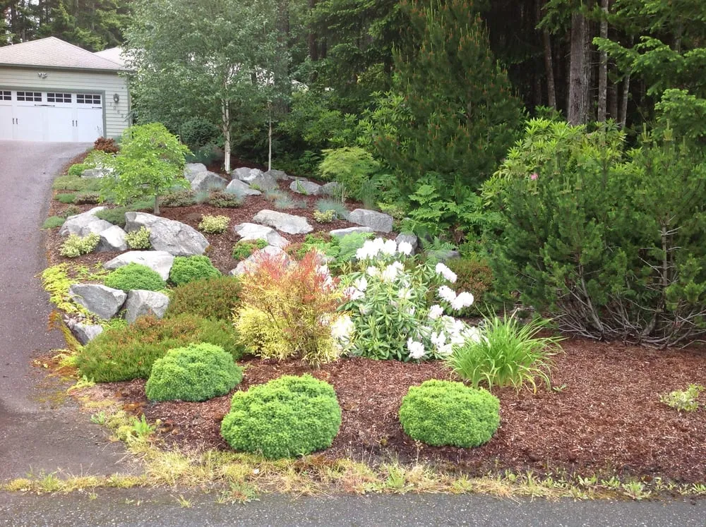Local lawn mowing service in Belfair, WA by Randles Landscape & Design
