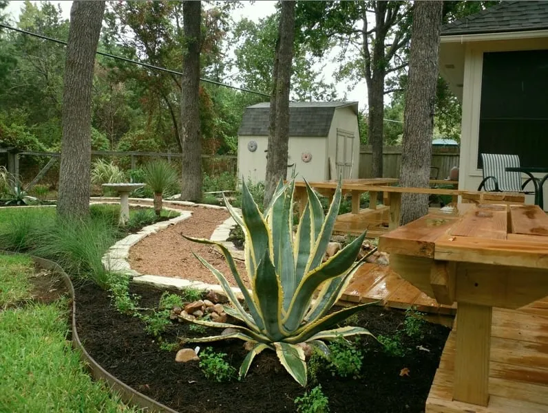 Trusted landscaping services experts serving Austin, TX - Randolph Landscapes