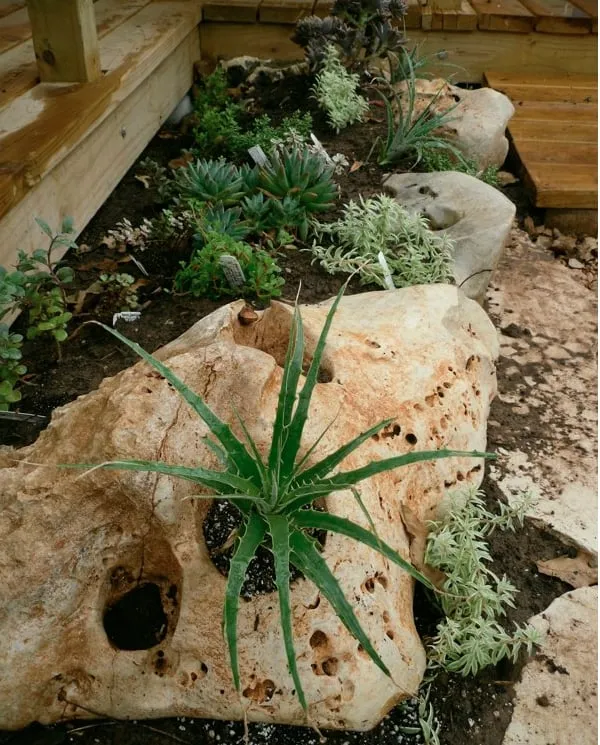 Top-rated landscape design in Austin, TX by Randolph Landscapes