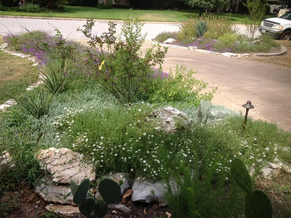 Custom residential landscaping in Austin, TX by Randolph Landscapes