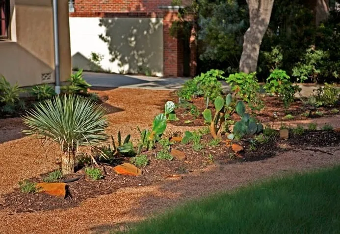 Reliable landscape installation for residential properties across Austin, TX - Randolph Landscapes