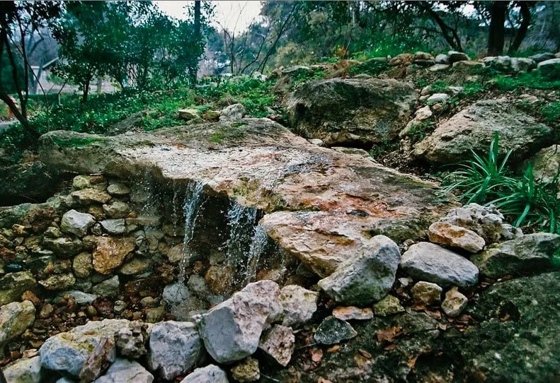 Expert lawn care service for year-round maintenance across Austin, TX - Randolph Landscapes