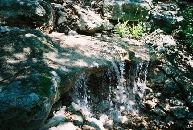 Professional garden landscaping in Austin, TX by Randolph Landscapes