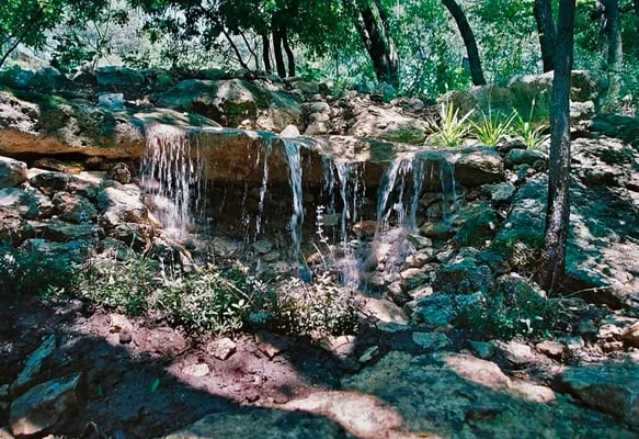 Randolph Landscapes Logo