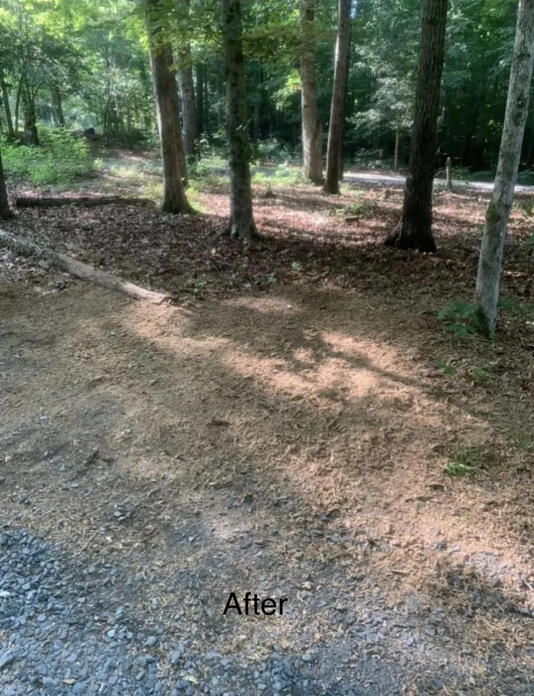Local garden landscaping in Asheboro, NC by Randolph Stump Grinding