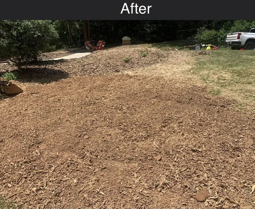 Reliable landscaping services for outdoor upgrades in Asheboro, NC by Randolph Stump Grinding