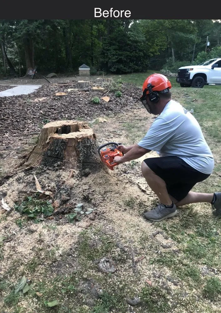 Top-rated lawn mowing service in Asheboro, NC - Randolph Stump Grinding