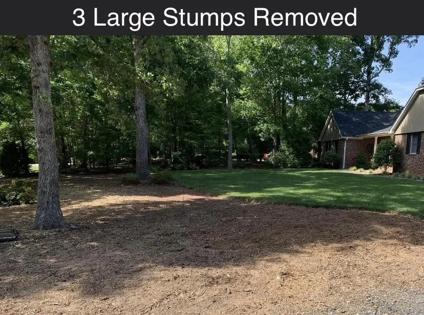 Custom lawn care service in Asheboro, NC by Randolph Stump Grinding