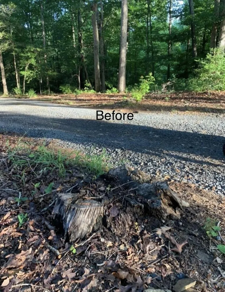 Top-rated yard cleanup service in Asheboro, NC by Randolph Stump Grinding