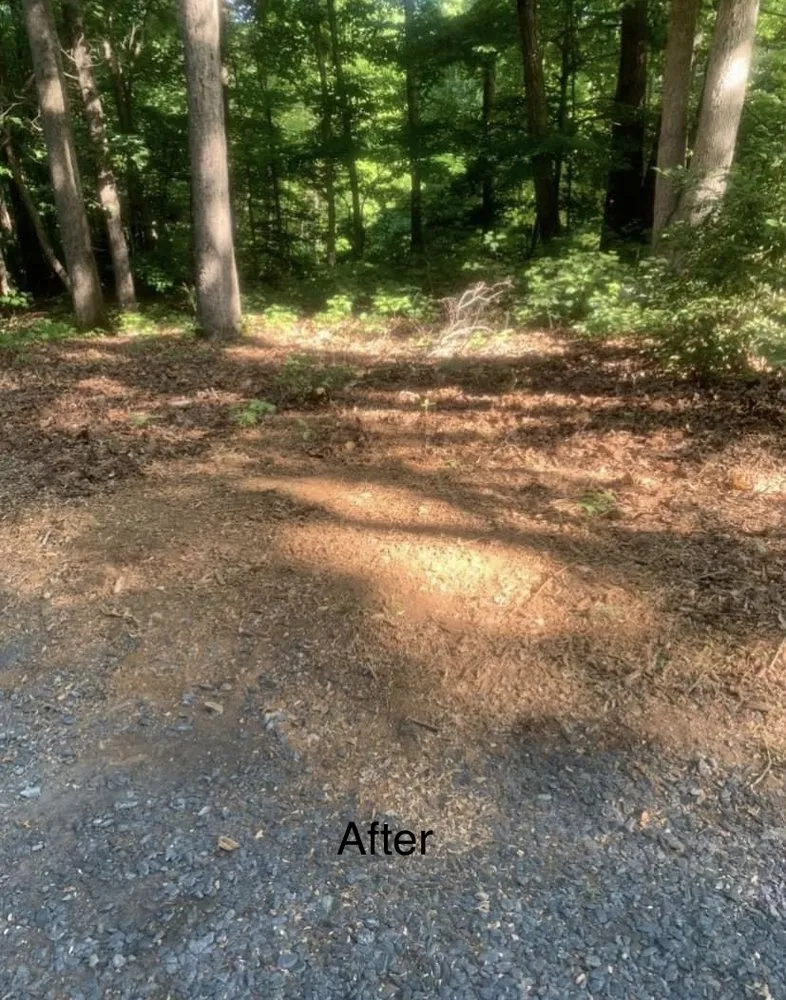 Expert outdoor landscaping in Asheboro, NC by Randolph Stump Grinding