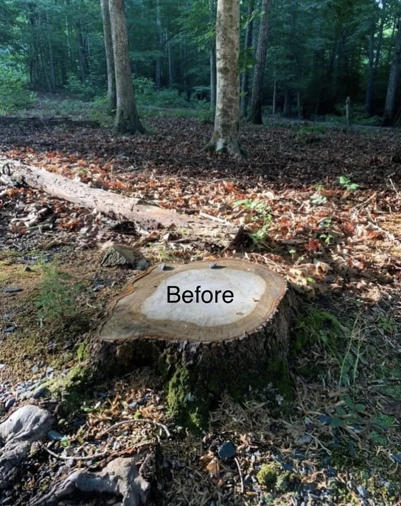 Trusted yard maintenance in Asheboro, NC - Randolph Stump Grinding