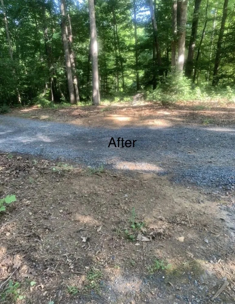 Reliable yard maintenance for homes in Asheboro, NC by Randolph Stump Grinding