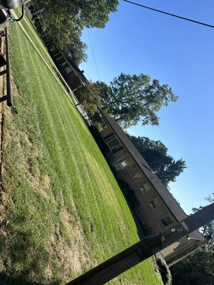 Trusted landscape installation experts serving Martinsville, VA - Randolph's landscaping