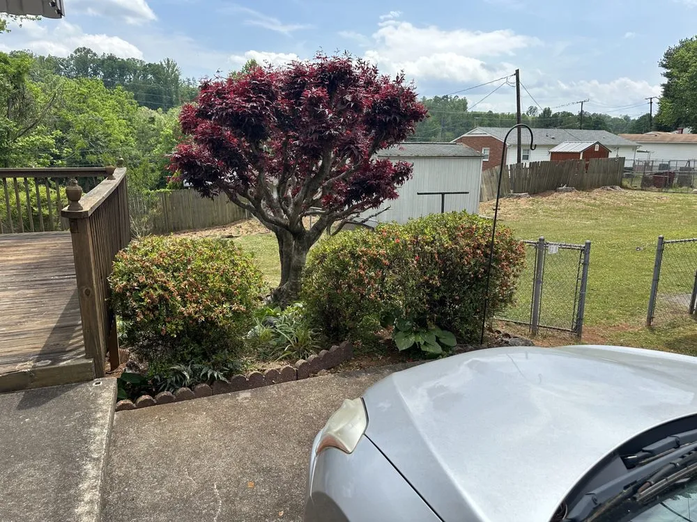 Expert yard cleanup service in Martinsville, VA - Randolph's landscaping