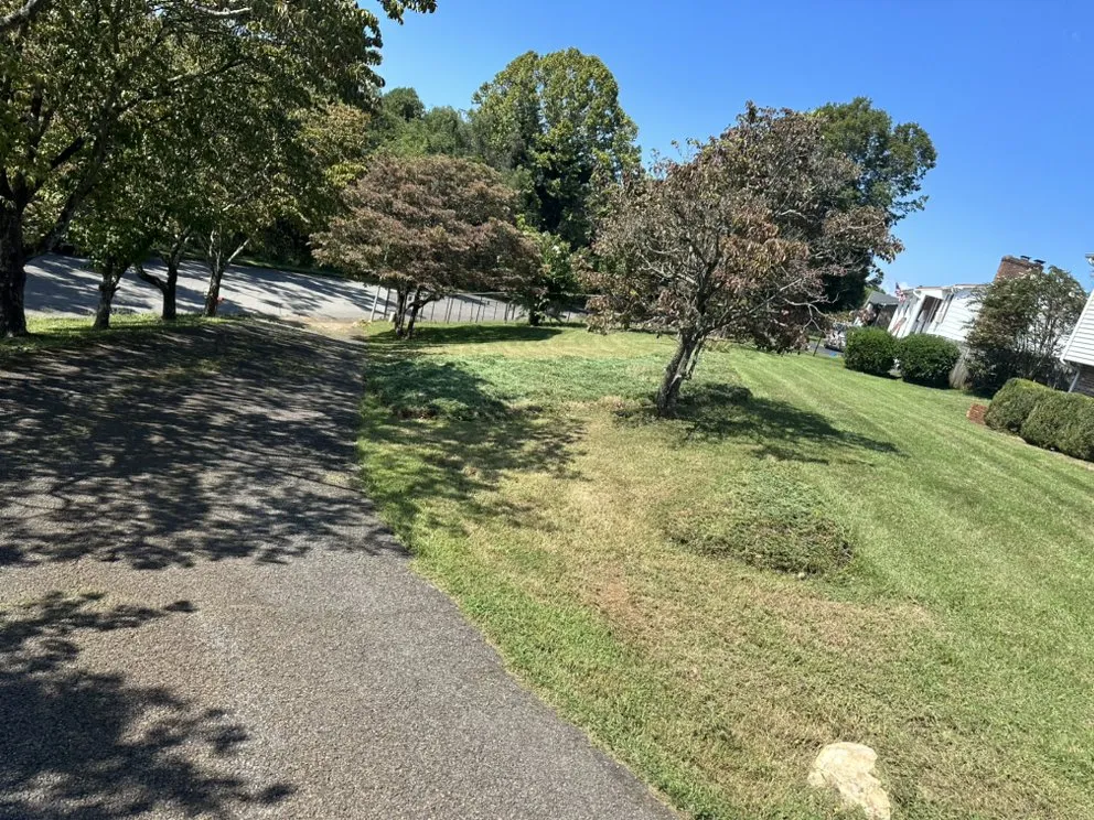 Local landscape design for outdoor upgrades across Martinsville, VA - Randolph's landscaping