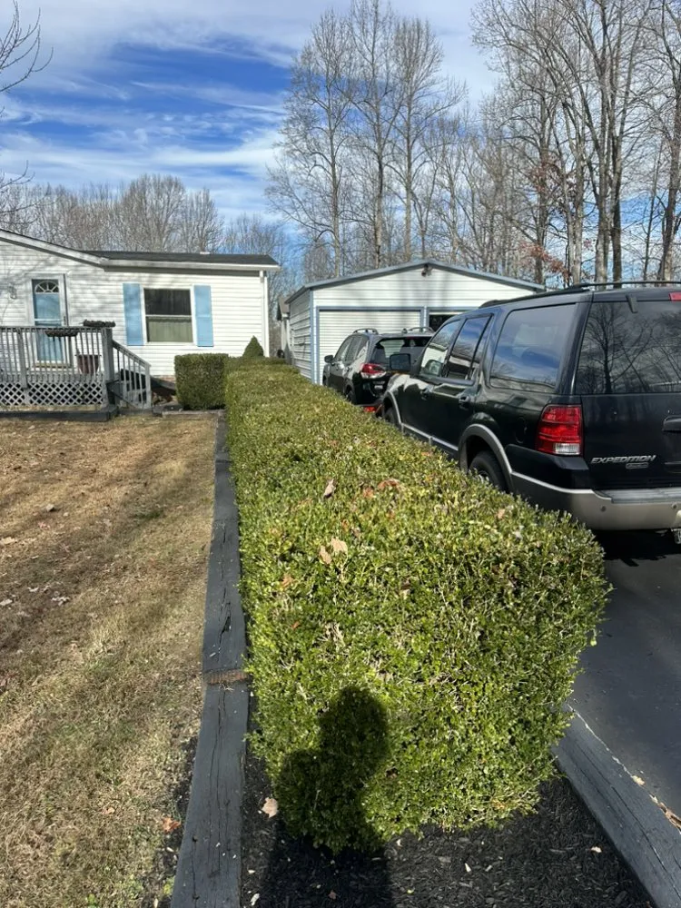 Reliable yard maintenance for homes across Martinsville, VA - Randolph's landscaping