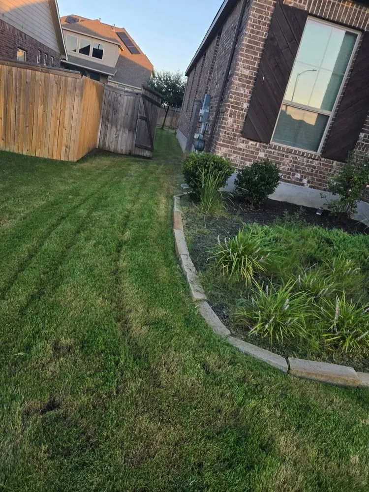 Expert yard cleanup service with custom design in Schertz, TX by Randolph's Lawn & Landscape Management Inc.