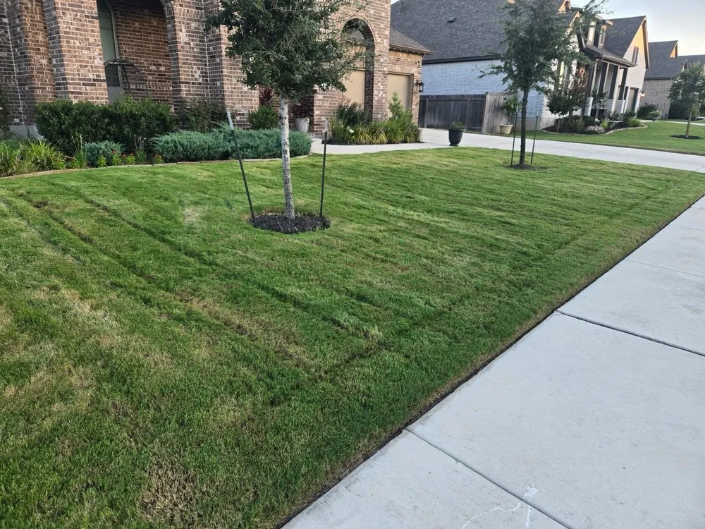 Reliable landscaping services in Schertz, TX - Randolph's Lawn & Landscape Management Inc.