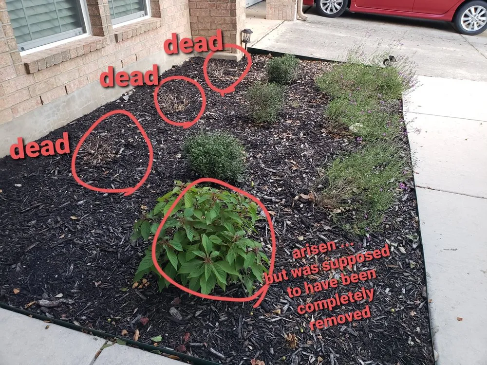 Reliable landscape design near you across Schertz, TX - Randolph's Lawn & Landscape Management Inc.