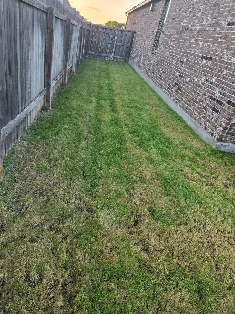 Top-rated residential landscaping experts serving Schertz, TX - Randolph's Lawn & Landscape Management Inc.