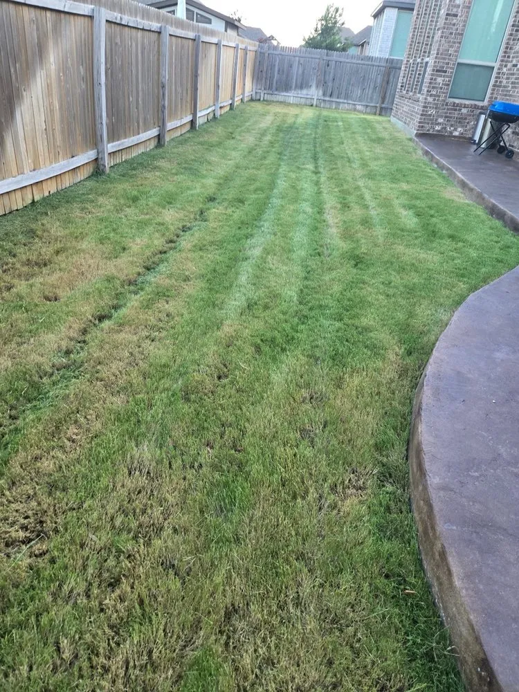 Top-rated landscape design in Schertz, TX - Randolph's Lawn & Landscape Management Inc.