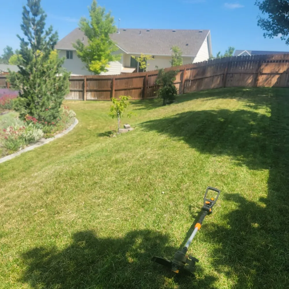 Trusted yard cleanup service experts serving Pocatello, ID - Random Tasks